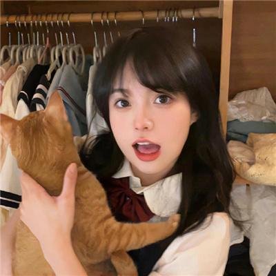完美拍档2017